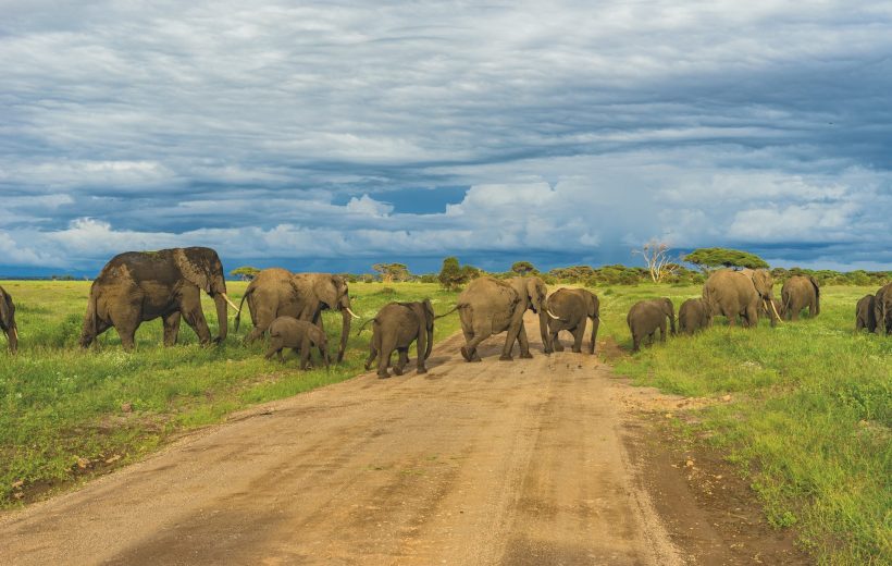 6 Days Uganda Wildlife Safari