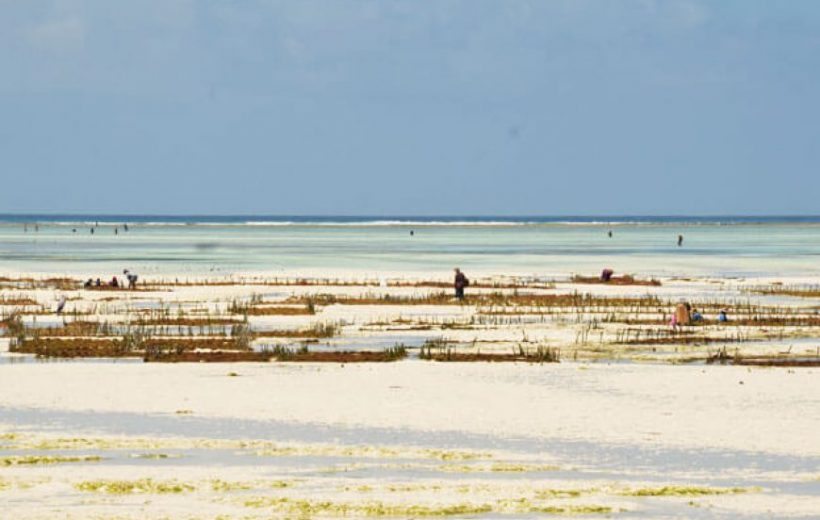 8-Days Explore Zanzibar Islands