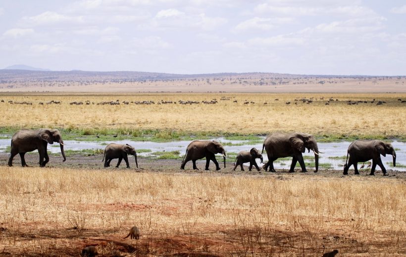 3 Days Uganda Unforgettable and Wildlife Safari