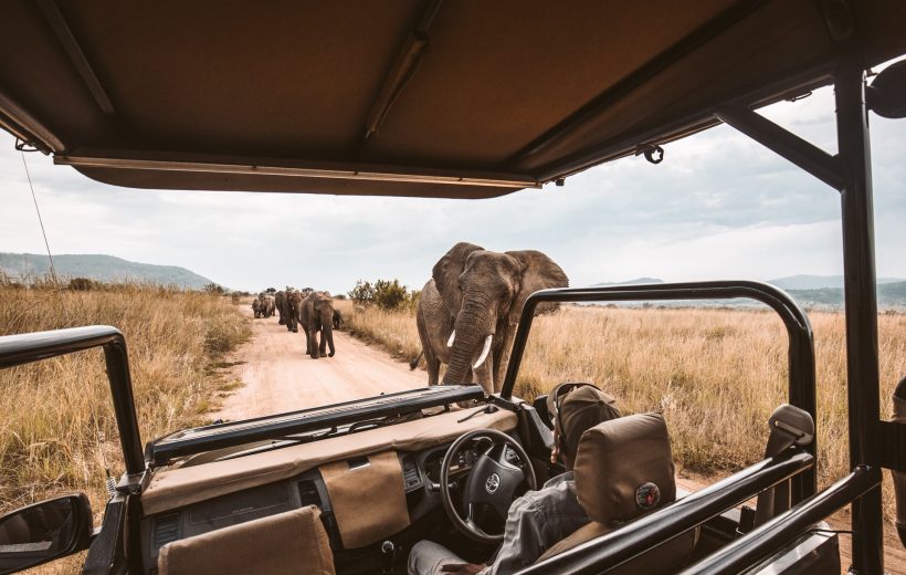 3-Day Explore the Beauty of Nairobi National Park